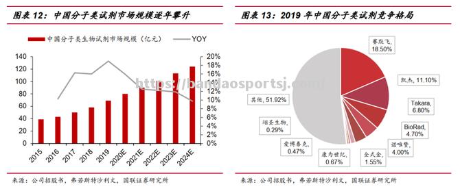 球队的排名逐渐攀升，未来可期